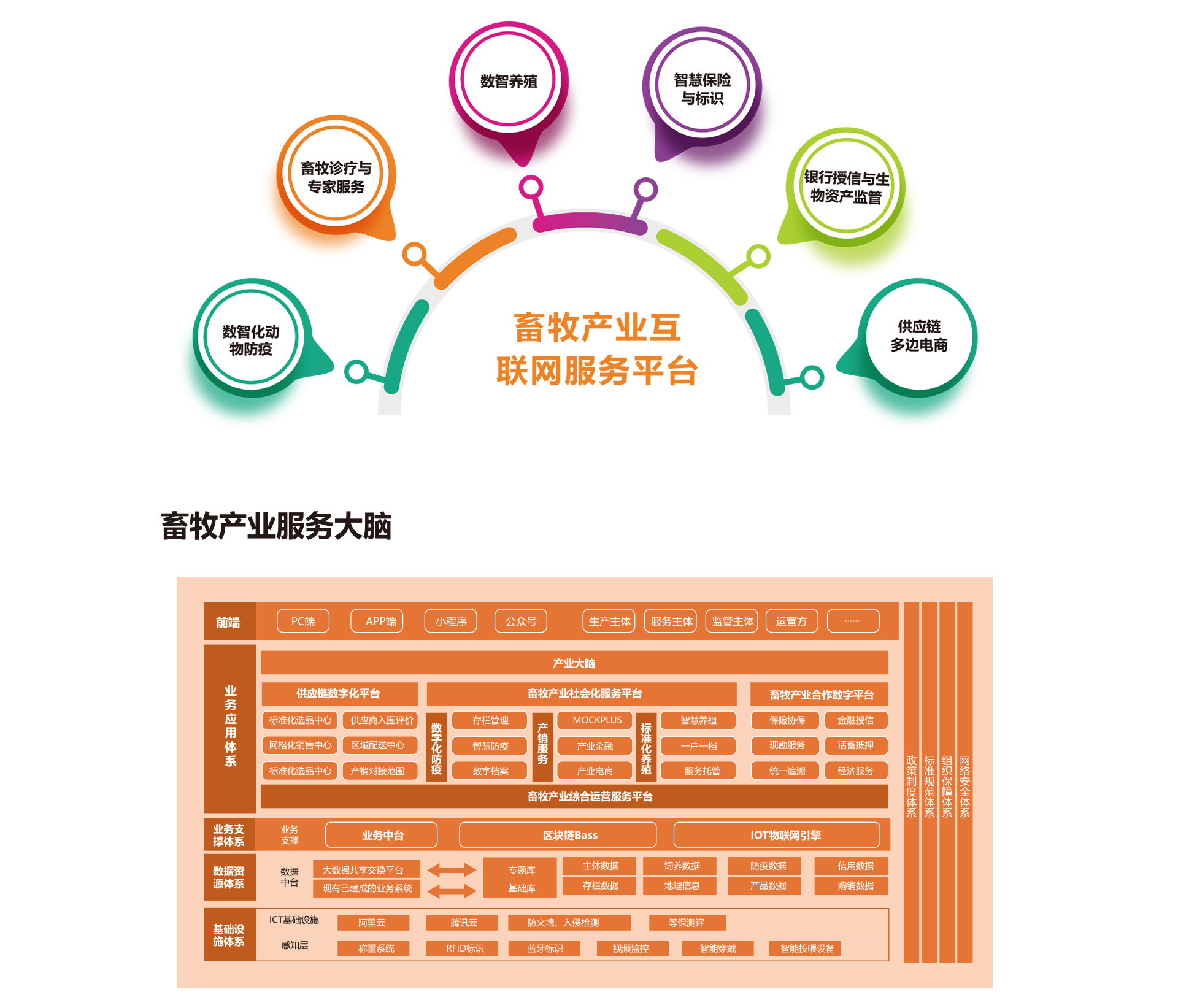 瑞佰创物联科技